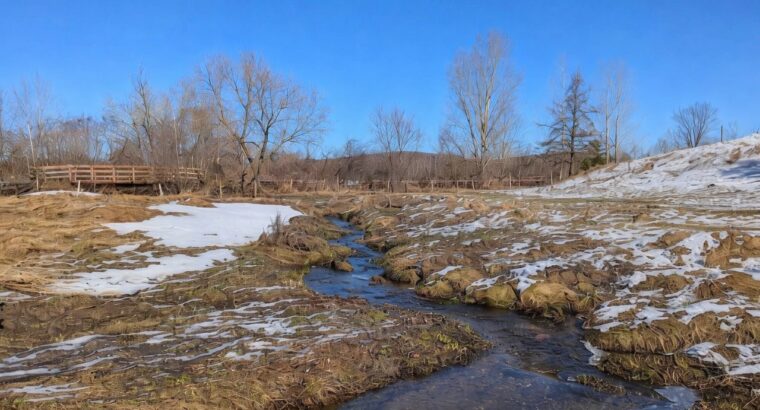 Valcourt (Estrie) : Fermette 98,41acr. avec maison