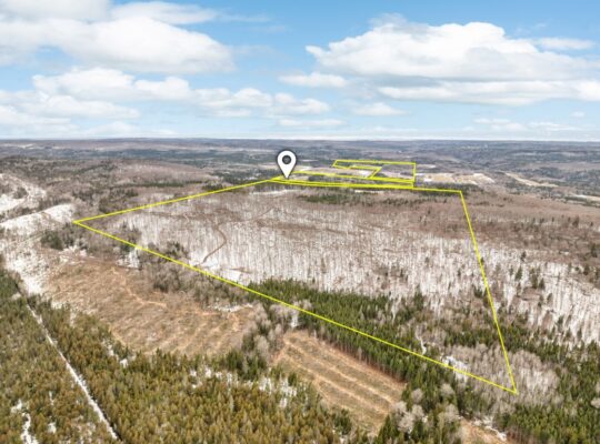 Armagh (Chaudière-Appalaches) : Ferme érablière