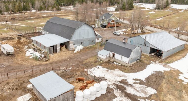 Armagh (Chaudière-Appalaches) : Ferme érablière