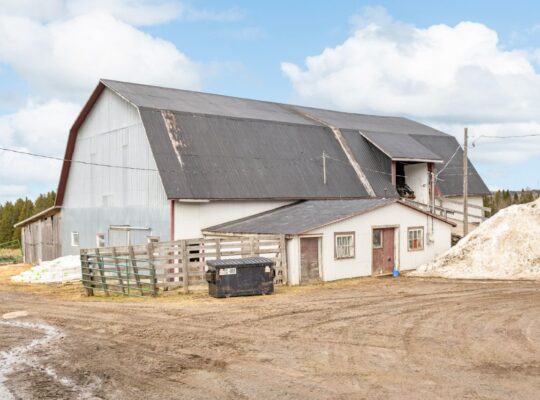 Armagh (Chaudière-Appalaches) : Ferme érablière