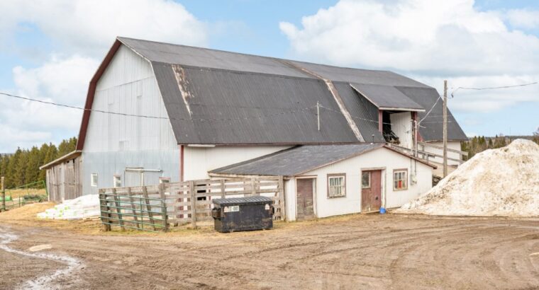 Armagh (Chaudière-Appalaches) : Ferme érablière