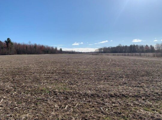 Roxton Falls (Montérégie) : Terre à bois et agr.