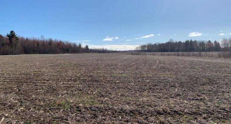 Roxton Falls (Montérégie) : Terre à bois et agr.