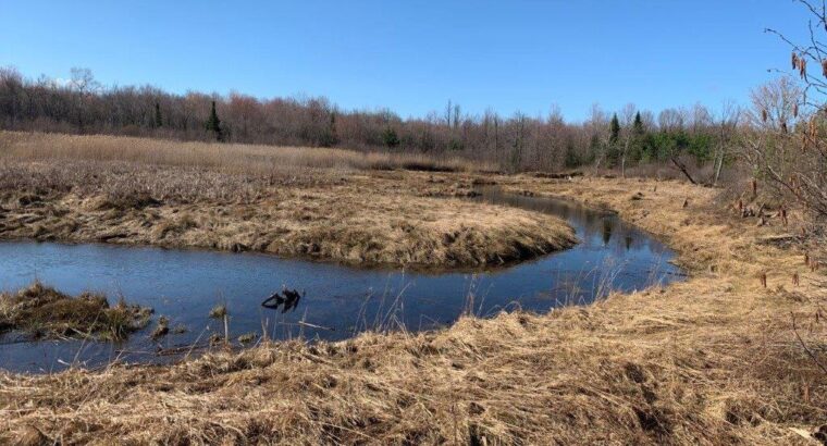 Roxton Falls (Montérégie) : Terre à bois et agr.