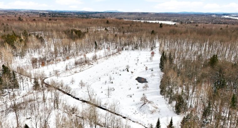 Roxton Falls (Montérégie) : Terre à bois et agr.