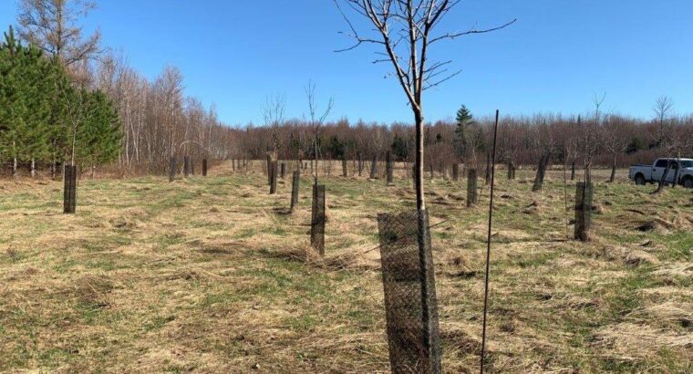 Roxton Falls (Montérégie) : Terre à bois et agr.
