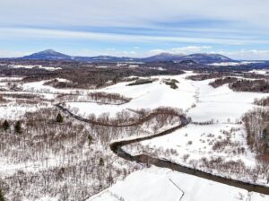 Potton (Estrie) : Terre agricole et à bois 247acr