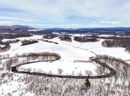 Potton (Estrie) : Terre agricole et à bois 247acr