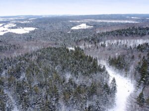 Sacré-cœur-de-Jésus (Chaud-App) : Terre à bois