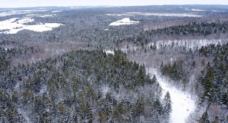 Sacré-cœur-de-Jésus (Chaud-App) : Terre à bois