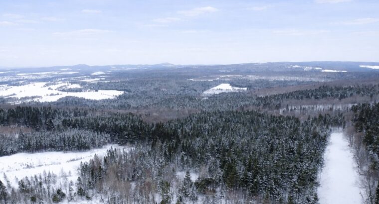 Sacré-cœur-de-Jésus (Chaud-App) : Terre à bois