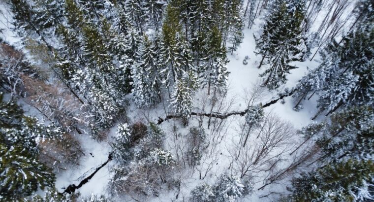 Sacré-cœur-de-Jésus (Chaud-App) : Terre à bois