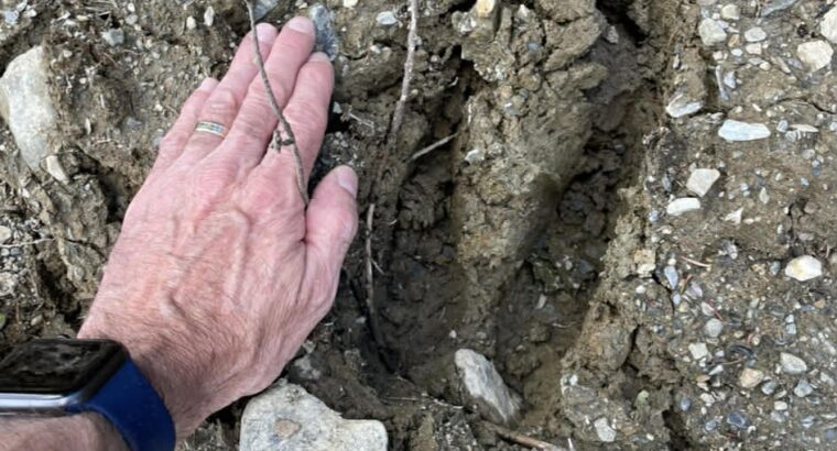 Sacré-cœur-de-Jésus (Chaud-App) : Terre à bois