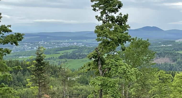 Sacré-cœur-de-Jésus (Chaud-App) : Terre à bois
