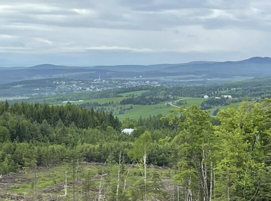 Sacré-cœur-de-Jésus (Chaud-App) : Terre à bois