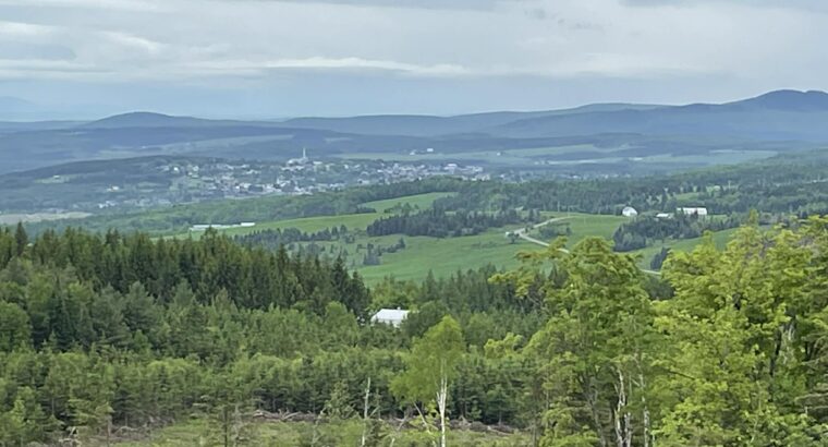 Sacré-cœur-de-Jésus (Chaud-App) : Terre à bois