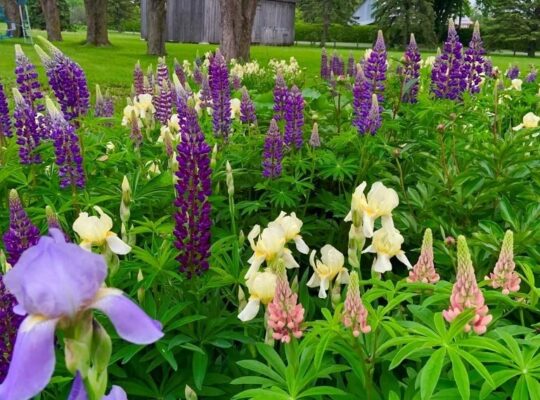 Ange-Gardien (Montérégie) : Maison de campagne