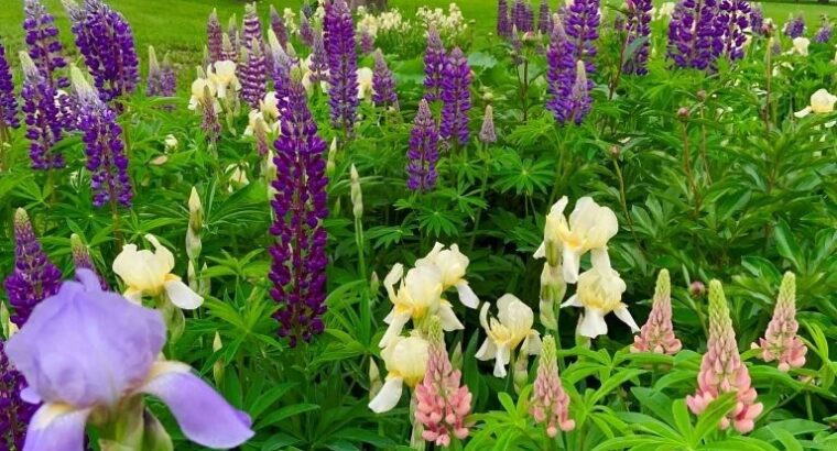 Ange-Gardien (Montérégie) : Maison de campagne