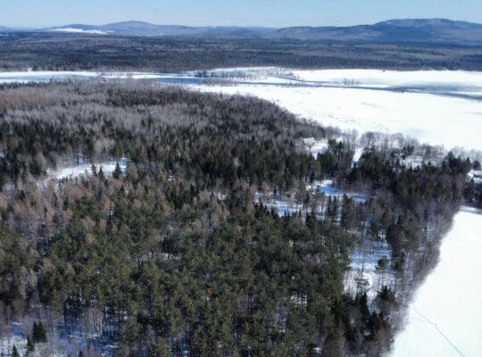 Weedon (Estrie) : Terrain constructible,7,51 acres