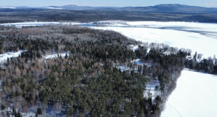 Weedon (Estrie) : Terrain constructible,7,51 acres
