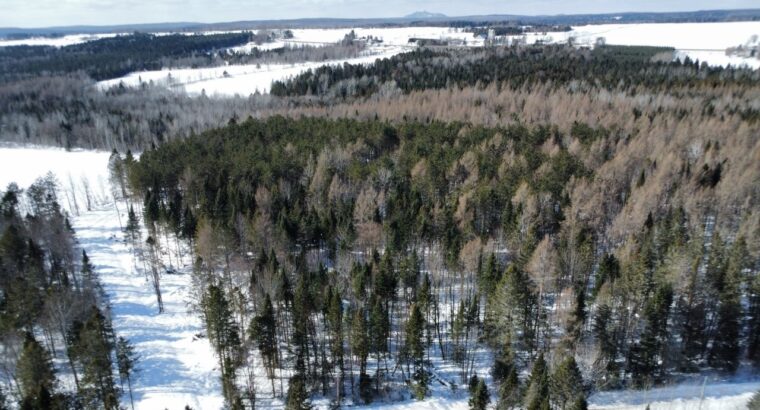 Weedon (Estrie) : Terrain constructible,7,51 acres