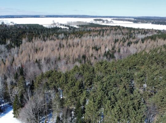 Weedon (Estrie) : Terrain constructible,7,51 acres
