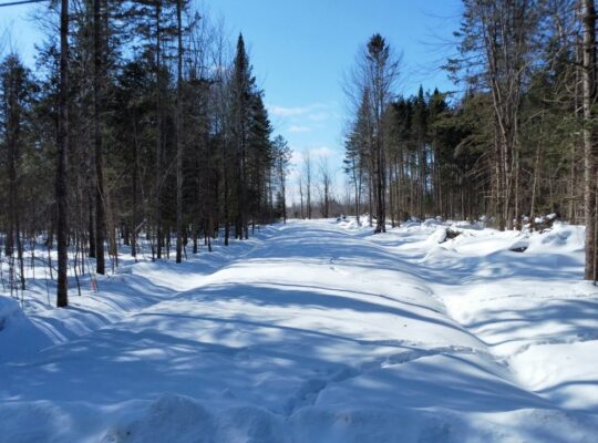 Weedon (Estrie) : Terrain constructible,7,51 acres
