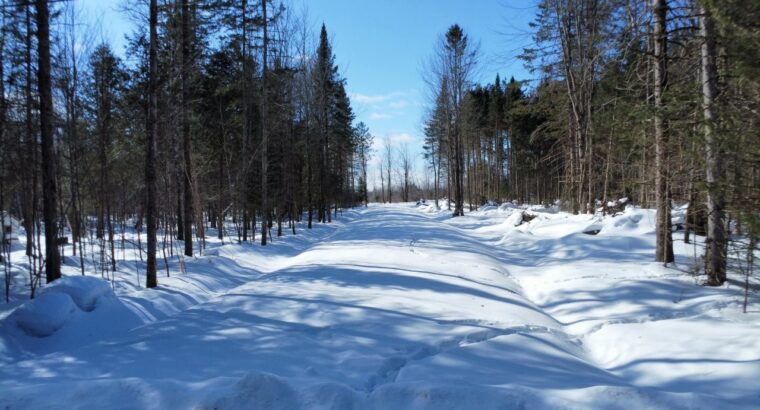 Weedon (Estrie) : Terrain constructible,7,51 acres