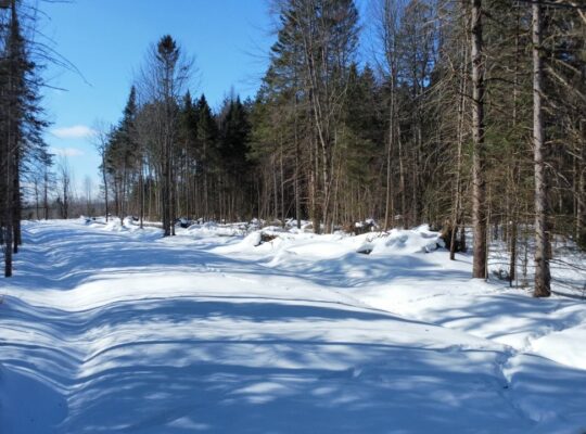Weedon (Estrie) : Terrain constructible,7,51 acres