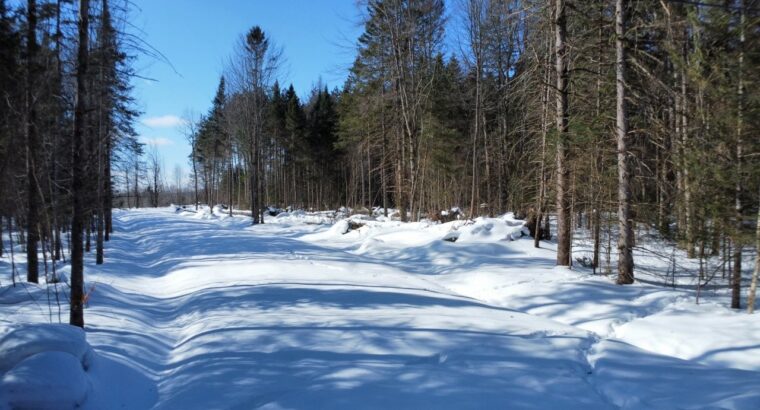 Weedon (Estrie) : Terrain constructible,7,51 acres