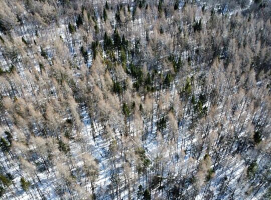 Weedon (Estrie) : Terrain constructible,7,51 acres