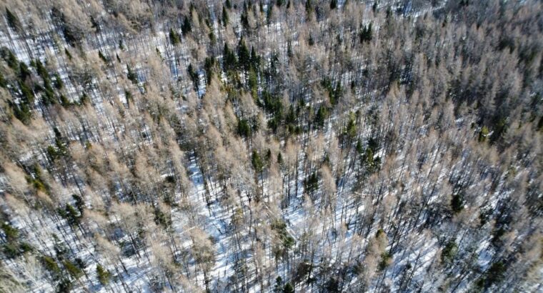 Weedon (Estrie) : Terrain constructible,7,51 acres