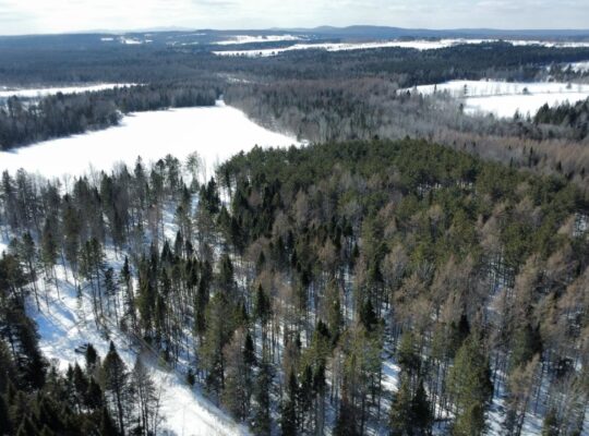Weedon (Estrie) : Terrain constructible,7,51 acres