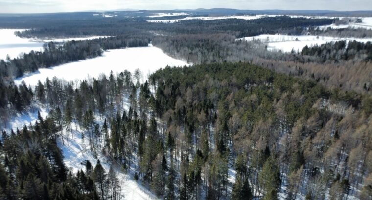Weedon (Estrie) : Terrain constructible,7,51 acres