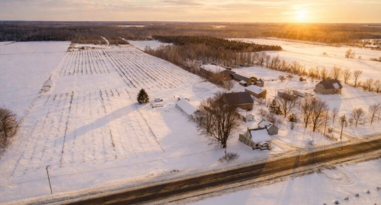 St-Sylvère (Ctre-Québec) : Ferme...