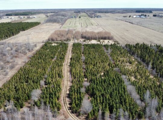 St-Sylvère (Ctre-Québec) : Fermette,érablière