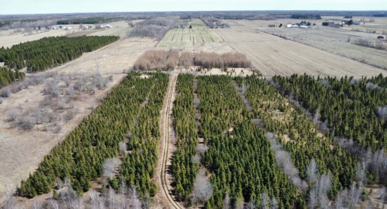 St-Sylvère (Ctre-Québec) : Fermette,érablière