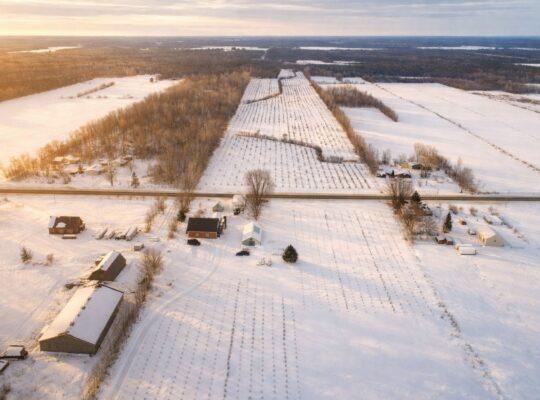 St-Sylvère (Ctre-Québec) : Fermette,érablière