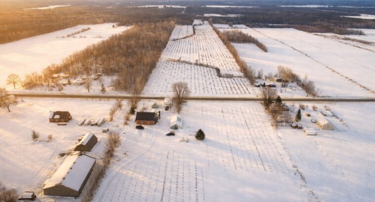 St-Sylvère (Ctre-Québec) : Fermette,érablière