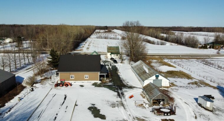 St-Sylvère (Ctre-Québec) : Fermette,érablière