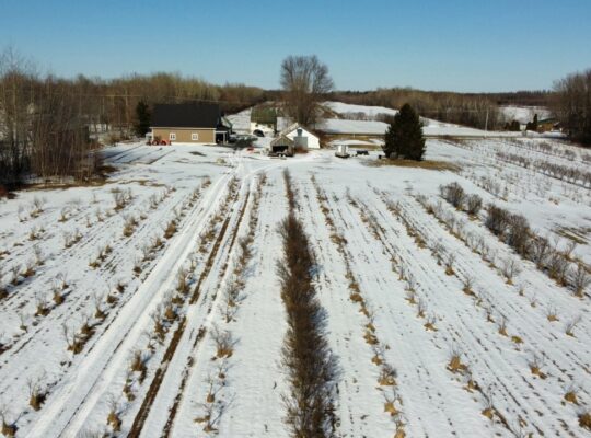 St-Sylvère (Ctre-Québec) : Fermette,érablière