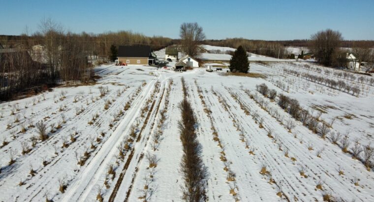 St-Sylvère (Ctre-Québec) : Fermette,érablière