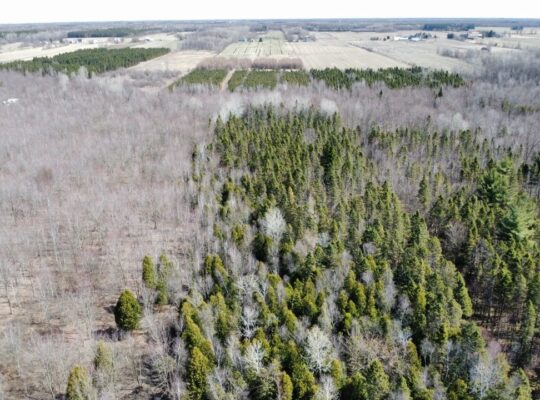 St-Sylvère (Ctre-Québec) : Fermette,érablière