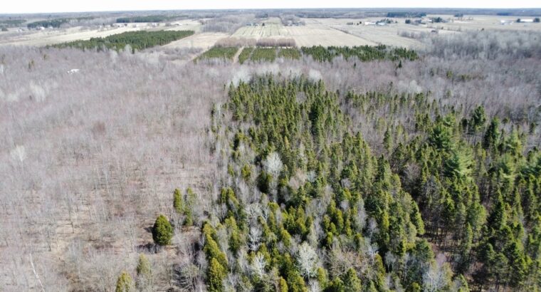 St-Sylvère (Ctre-Québec) : Fermette,érablière