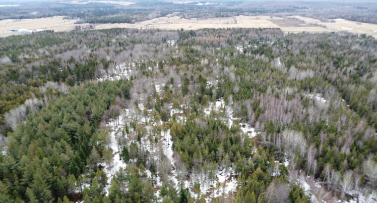 St-Georges-de-Windsor (Estrie): Fermette 3 garages