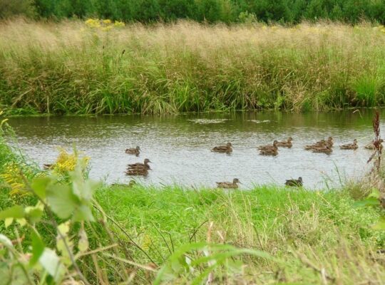 St-Georges-de-Windsor (Estrie): Fermette 3 garages