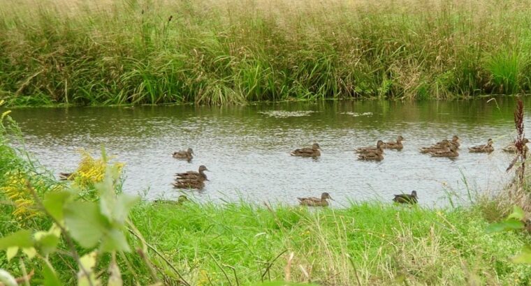 St-Georges-de-Windsor (Estrie): Fermette 3 garages