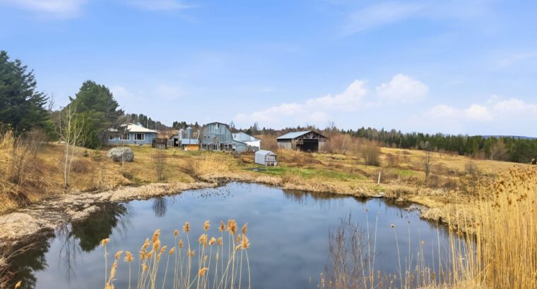 Beaulac-Garthy (Chaudière-Appalaches) : Ferme