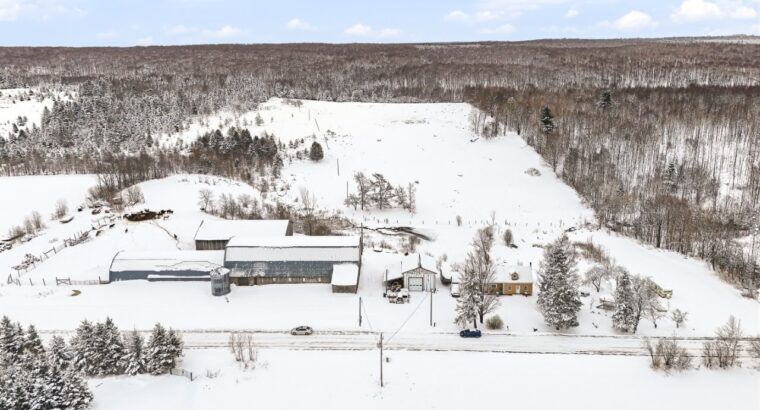 Bury (Estrie) : Ferme ovine et bovine 123 acres