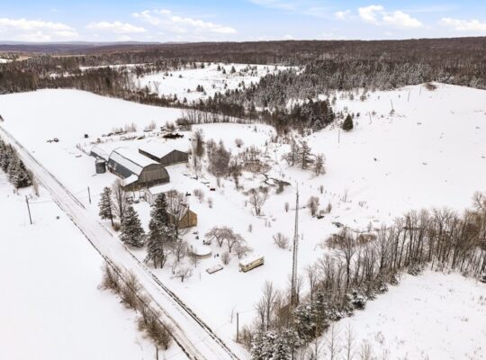 Bury (Estrie) : Ferme ovine et bovine 123 acres
